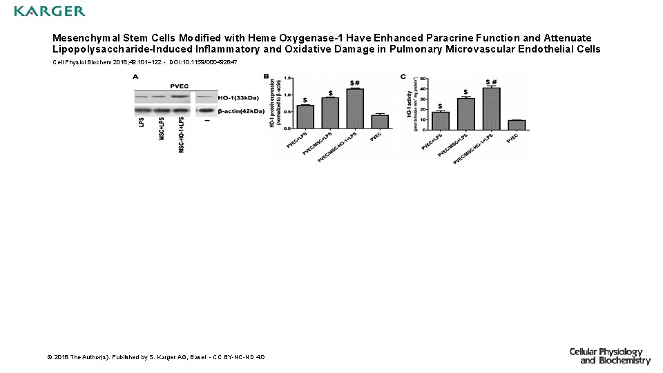 Mesenchymal Stem Cells Modified with Heme Oxygenase-1 Have Enhanced Paracrine Function and Attenuate Lipopolysaccharide-Induced