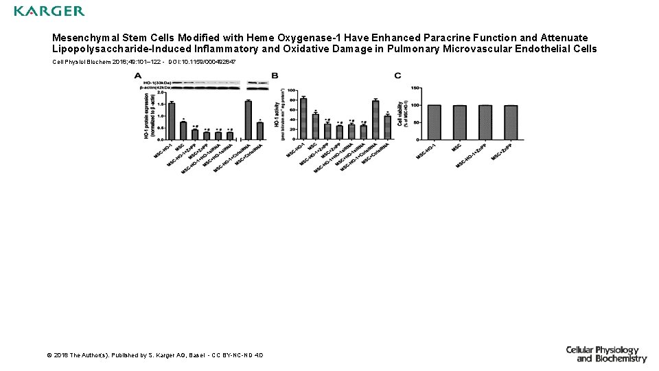 Mesenchymal Stem Cells Modified with Heme Oxygenase-1 Have Enhanced Paracrine Function and Attenuate Lipopolysaccharide-Induced