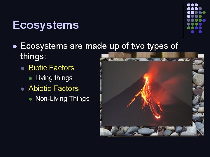Ecosystems l Ecosystems are made up of two types of things: l Biotic Factors