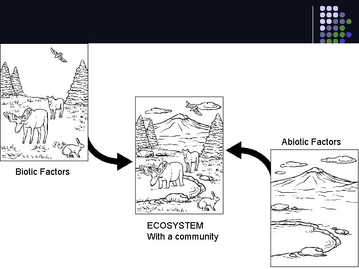 Abiotic Factors Biotic Factors ECOSYSTEM With a community 