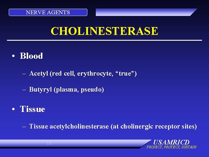 NERVE AGENTS CHOLINESTERASE • Blood – Acetyl (red cell, erythrocyte, “true”) – Butyryl (plasma,