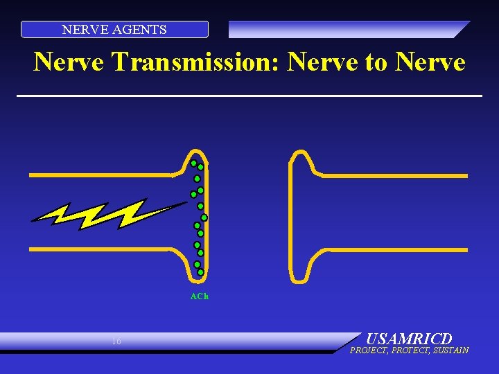 NERVE AGENTS Nerve Transmission: Nerve to Nerve ACh 16 USAMRICD PROJECT, PROTECT, SUSTAIN 