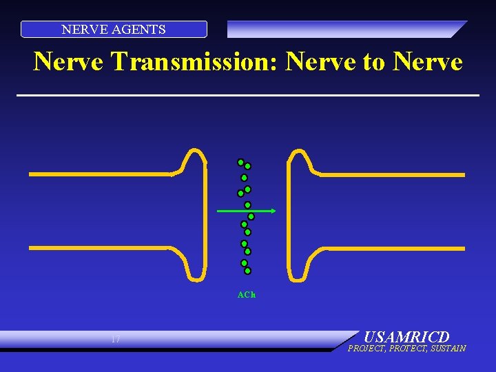 NERVE AGENTS Nerve Transmission: Nerve to Nerve ACh 17 USAMRICD PROJECT, PROTECT, SUSTAIN 