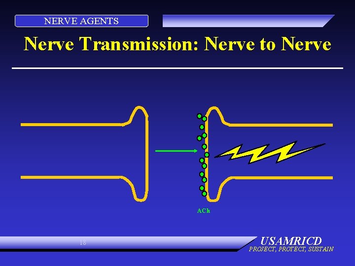 NERVE AGENTS Nerve Transmission: Nerve to Nerve ACh 18 USAMRICD PROJECT, PROTECT, SUSTAIN 