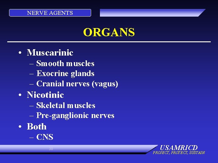 NERVE AGENTS ORGANS • Muscarinic – Smooth muscles – Exocrine glands – Cranial nerves