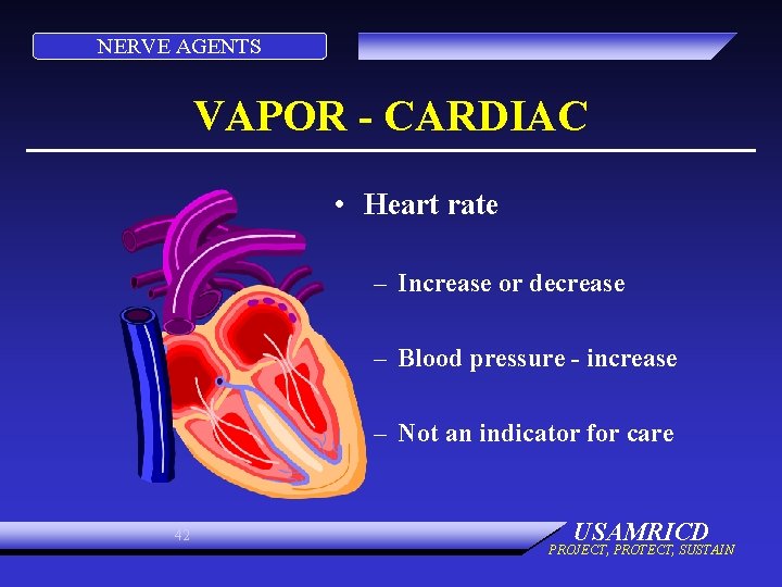 NERVE AGENTS VAPOR - CARDIAC • Heart rate – Increase or decrease – Blood