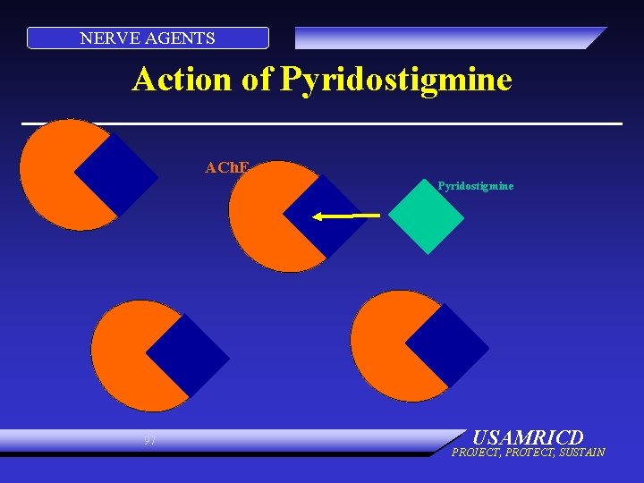 NERVE AGENTS Action of Pyridostigmine ACh. E Pyridostigmine 97 USAMRICD PROJECT, PROTECT, SUSTAIN 
