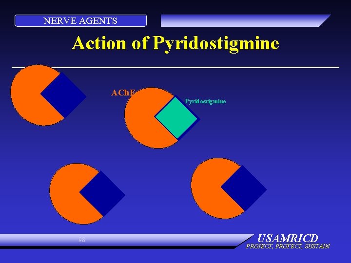 NERVE AGENTS Action of Pyridostigmine ACh. E Pyridostigmine 98 USAMRICD PROJECT, PROTECT, SUSTAIN 