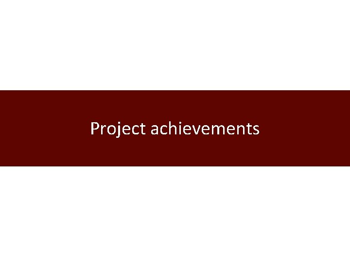 Project achievements 