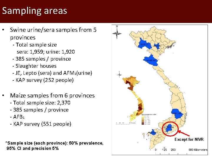 Sampling areas • Swine urine/sera samples from 5 provinces - Total sample size sera: