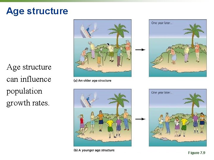 Age structure can influence population growth rates. Figure 7. 9 Age structure can influence population growth rates. Figure 7. 9