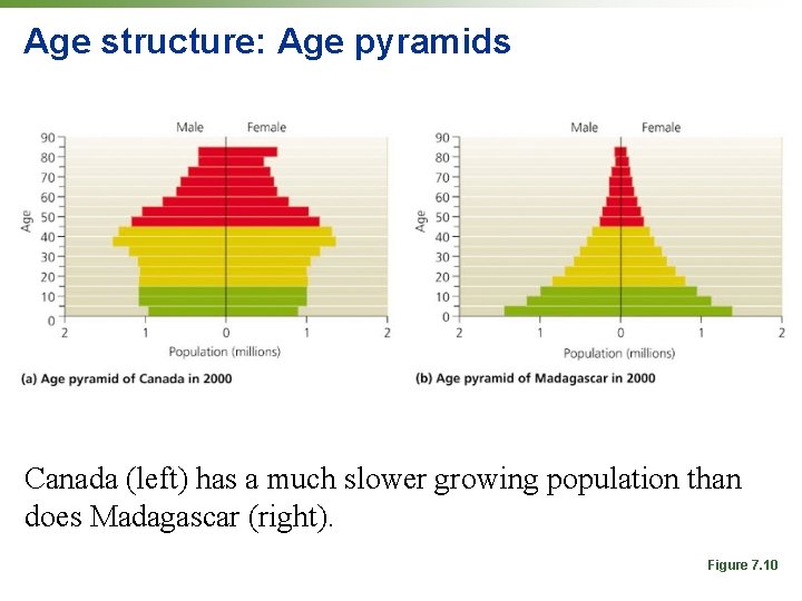 Age structure: Age pyramids Canada (left) has a much slower growing population than does Age structure: Age pyramids Canada (left) has a much slower growing population than does