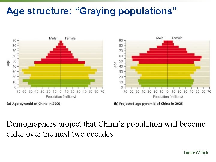 Age structure: “Graying populations” Demographers project that China’s population will become older over the Age structure: “Graying populations” Demographers project that China’s population will become older over the