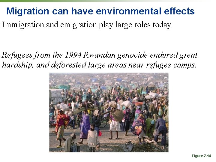 Migration can have environmental effects Immigration and emigration play large roles today. Refugees from Migration can have environmental effects Immigration and emigration play large roles today. Refugees from