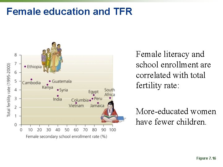 Female education and TFR Female literacy and school enrollment are correlated with total fertility Female education and TFR Female literacy and school enrollment are correlated with total fertility