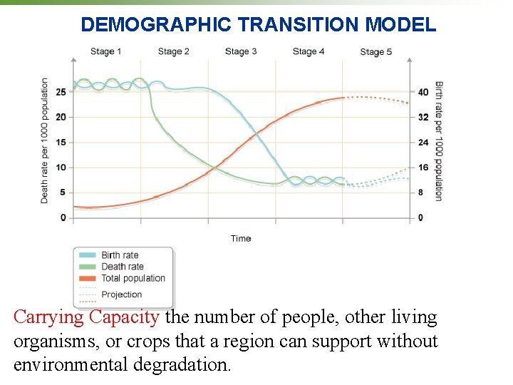 DEMOGRAPHIC TRANSITION MODEL Carrying Capacity the number of people, other living organisms, or crops DEMOGRAPHIC TRANSITION MODEL Carrying Capacity the number of people, other living organisms, or crops