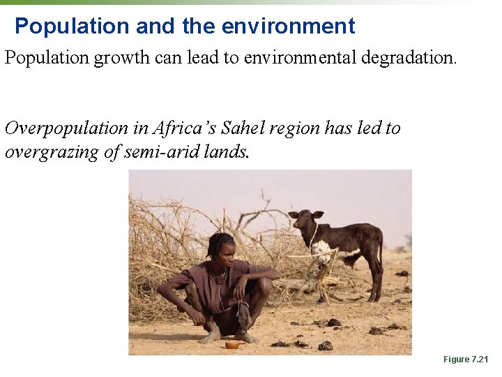 Population and the environment Population growth can lead to environmental degradation. Overpopulation in Africa’s Population and the environment Population growth can lead to environmental degradation. Overpopulation in Africa’s