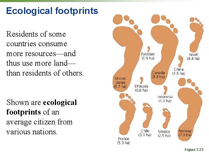 Ecological footprints Residents of some countries consume more resources—and thus use more land— than Ecological footprints Residents of some countries consume more resources—and thus use more land— than