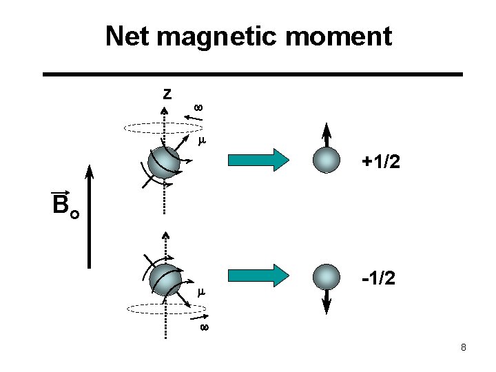 Net magnetic moment z w m +1/2 Bo m -1/2 w 8 