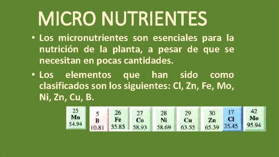 MICRO NUTRIENTES • Los micronutrientes son esenciales para la nutrición de la planta, a MICRO NUTRIENTES • Los micronutrientes son esenciales para la nutrición de la planta, a