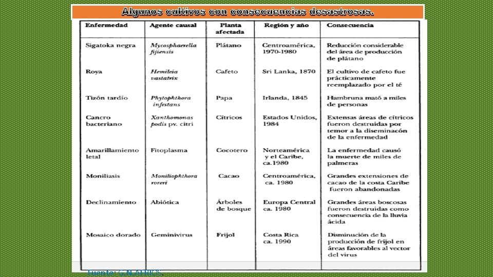Algunos cultivos consecuencias desastrosas. Fuente: G. N. AFRIOS. Algunos cultivos consecuencias desastrosas. Fuente: G. N. AFRIOS.