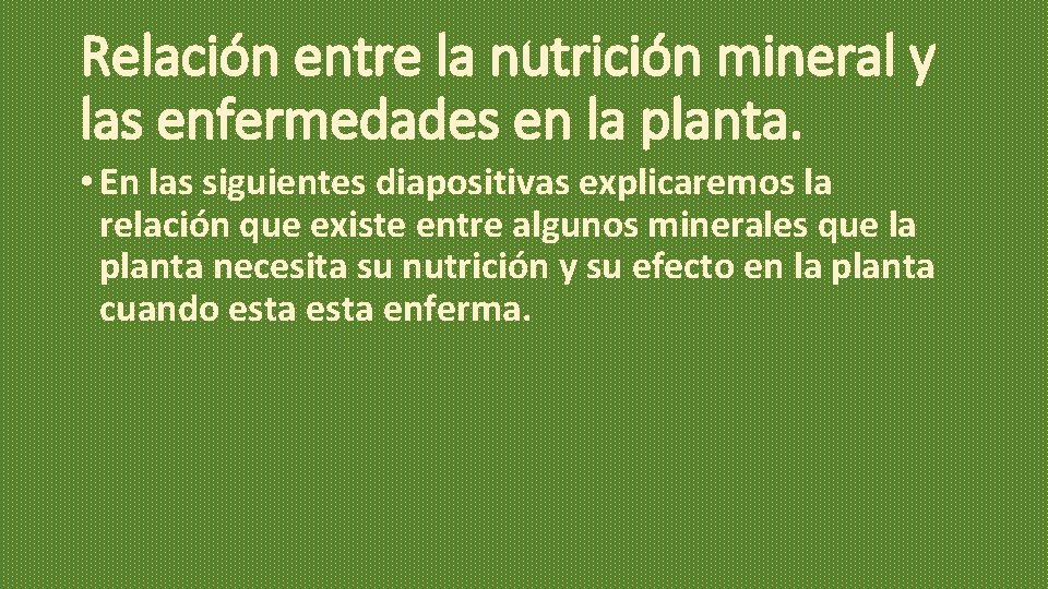 Relación entre la nutrición mineral y las enfermedades en la planta. • En las Relación entre la nutrición mineral y las enfermedades en la planta. • En las