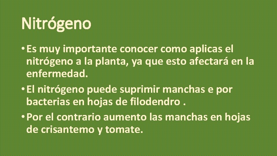 Nitrógeno • Es muy importante conocer como aplicas el nitrógeno a la planta, ya Nitrógeno • Es muy importante conocer como aplicas el nitrógeno a la planta, ya