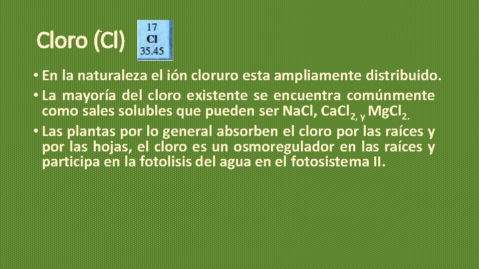 Cloro (Cl) • En la naturaleza el ión cloruro esta ampliamente distribuido. • La Cloro (Cl) • En la naturaleza el ión cloruro esta ampliamente distribuido. • La