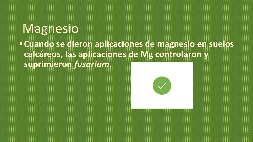 Magnesio • Cuando se dieron aplicaciones de magnesio en suelos calcáreos, las aplicaciones de Magnesio • Cuando se dieron aplicaciones de magnesio en suelos calcáreos, las aplicaciones de