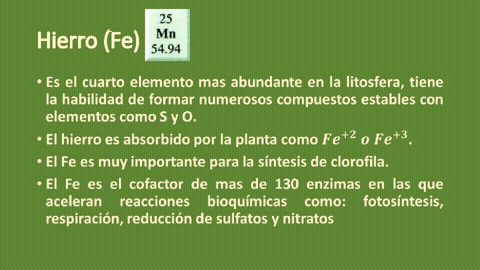 Hierro (Fe) • Hierro (Fe) •