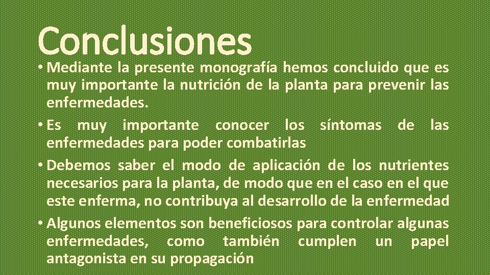 Conclusiones • Mediante la presente monografía hemos concluido que es muy importante la nutrición Conclusiones • Mediante la presente monografía hemos concluido que es muy importante la nutrición