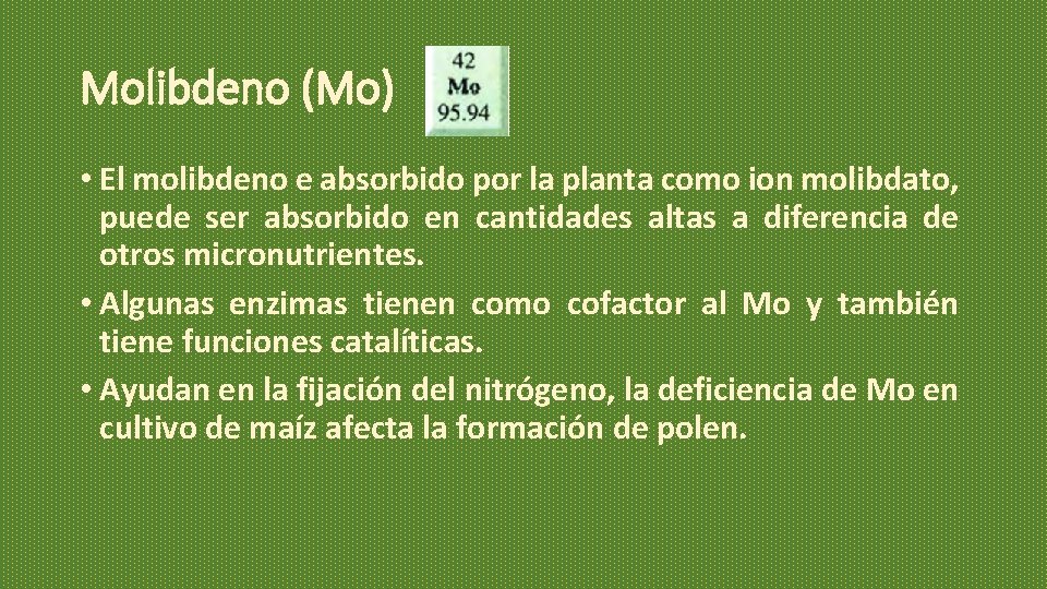 Molibdeno (Mo) • El molibdeno e absorbido por la planta como ion molibdato, puede Molibdeno (Mo) • El molibdeno e absorbido por la planta como ion molibdato, puede