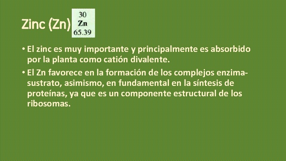 Zinc (Zn) • El zinc es muy importante y principalmente es absorbido por la Zinc (Zn) • El zinc es muy importante y principalmente es absorbido por la