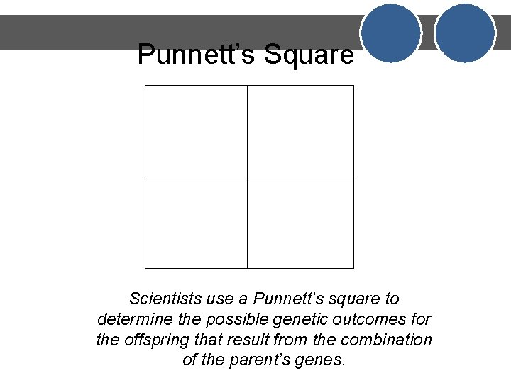 Punnett’s Square Scientists use a Punnett’s square to determine the possible genetic outcomes for
