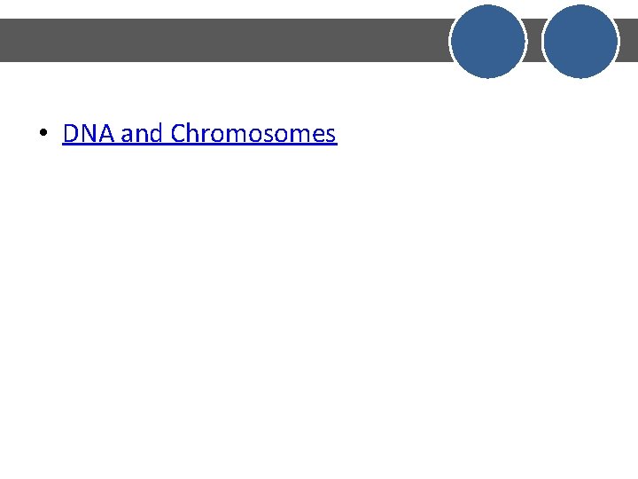  • DNA and Chromosomes 