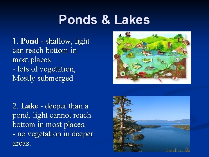 Ponds & Lakes 1. Pond - shallow, light can reach bottom in most places.