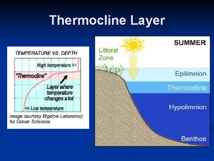 Thermocline Layer 