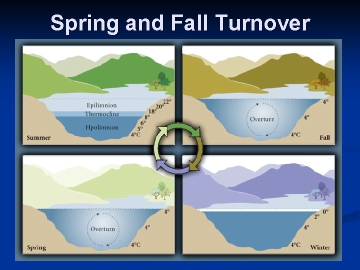 Spring and Fall Turnover 