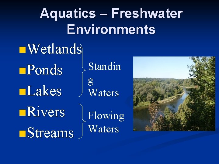 Aquatics – Freshwater Environments n Wetlands n Ponds n Lakes n Rivers n Streams