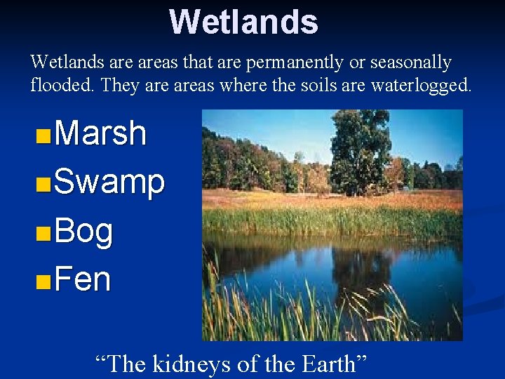 Wetlands are areas that are permanently or seasonally flooded. They areas where the soils
