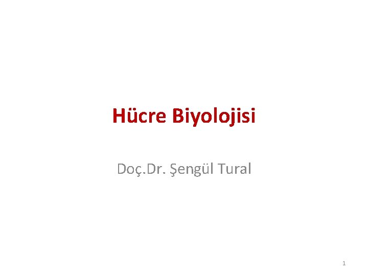 Hücre Biyolojisi Doç. Dr. Şengül Tural 1 