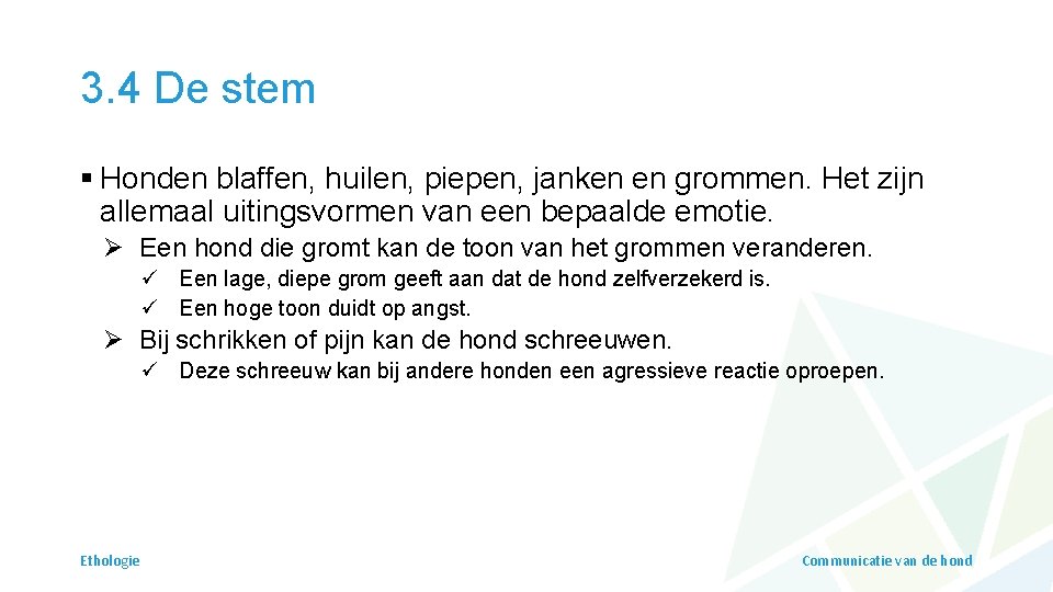 3. 4 De stem § Honden blaffen, huilen, piepen, janken en grommen. Het zijn