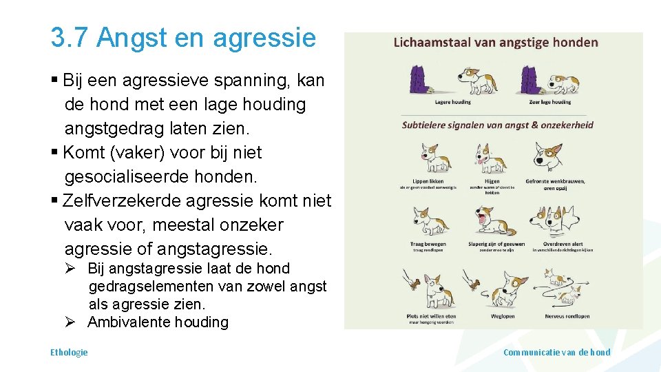 3. 7 Angst en agressie § Bij een agressieve spanning, kan de hond met