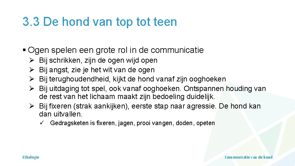 3. 3 De hond van top tot teen § Ogen spelen een grote rol