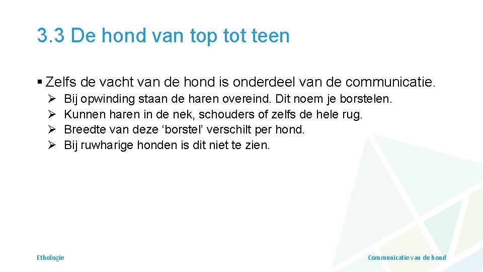 3. 3 De hond van top tot teen § Zelfs de vacht van de