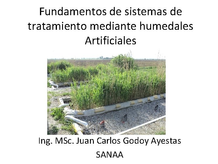 Fundamentos de sistemas de tratamiento mediante humedales Artificiales Ing. MSc. Juan Carlos Godoy Ayestas