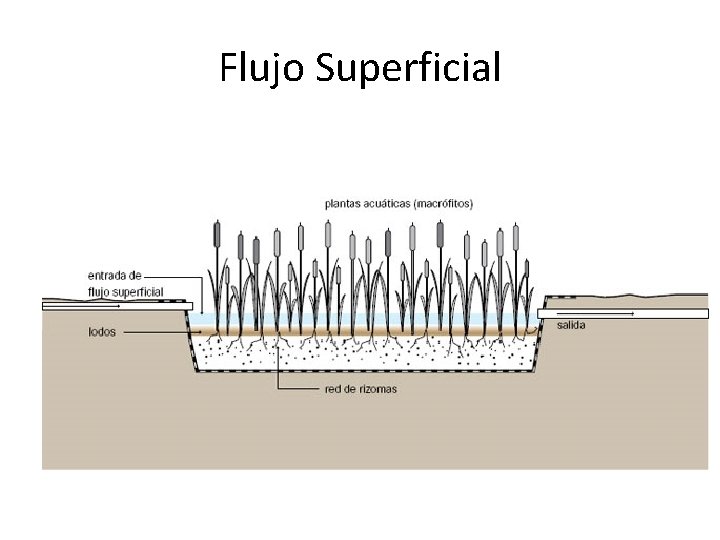 Flujo Superficial 