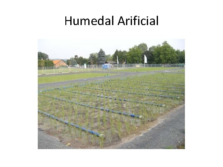 Humedal Arificial 