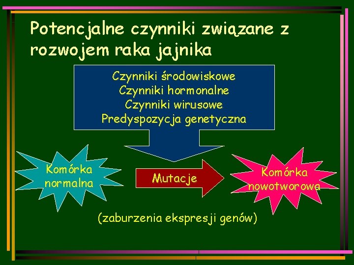 Potencjalne czynniki związane z rozwojem raka jajnika Czynniki środowiskowe Czynniki hormonalne Czynniki wirusowe Predyspozycja