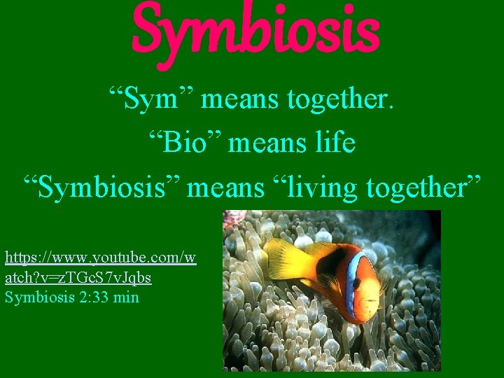 Symbiosis “Sym” means together. “Bio” means life “Symbiosis” means “living together” https: //www. youtube.